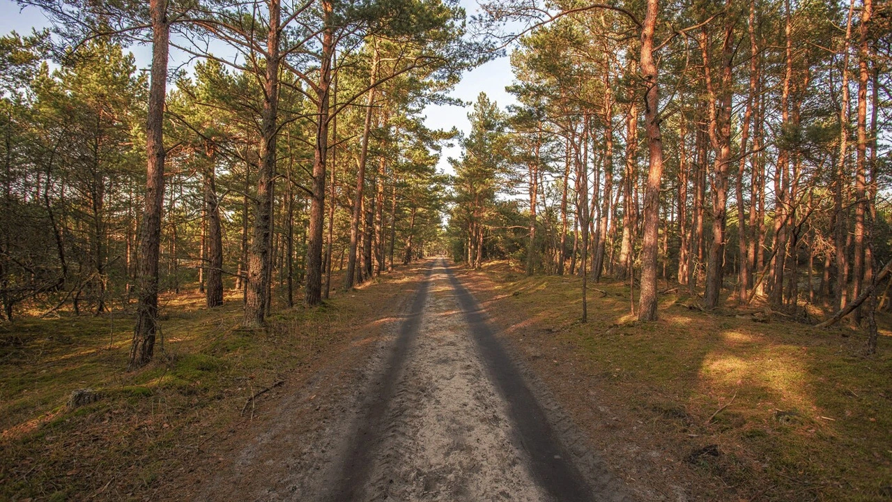 6 Countries, Cultures and Cuisines: The European Peace Walk 2017 is now open.